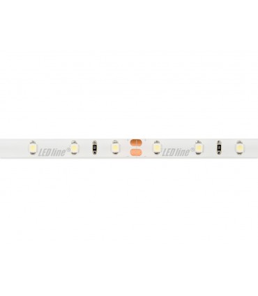 LED line® Taśma 300 SMD3528 24V 6500K IP65 4,8W