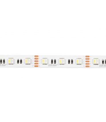 LED line® Taśma 300 SMD5050 12V 6500K RGBW 19,2W