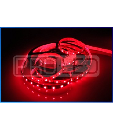 TAŚMA LED EPISTAR PREMIUM 5050 - 300 DIOD RGB NANO - 1MB